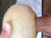 Horny man fucking a melon
